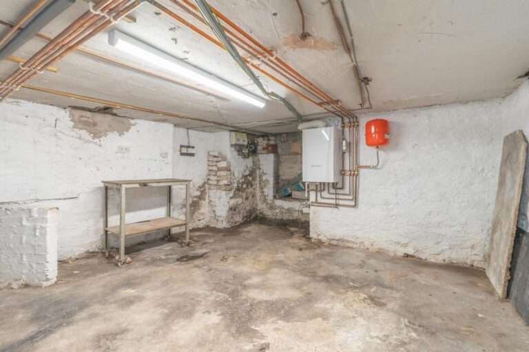 Cellar